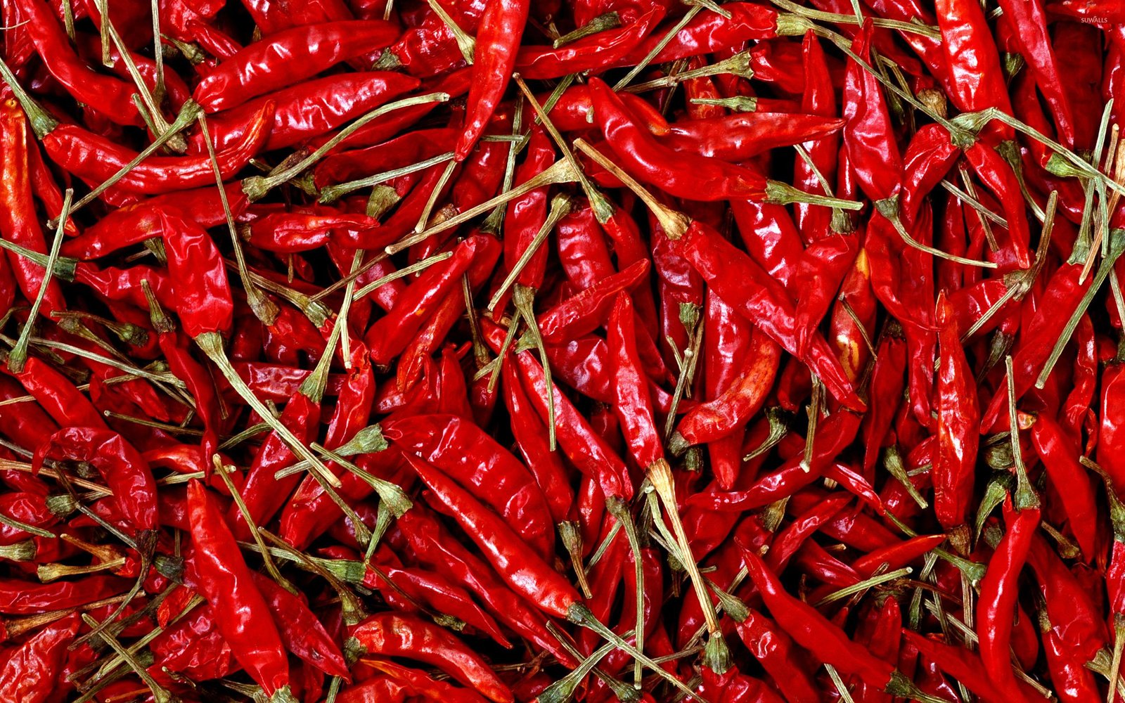Premium Red Chilli